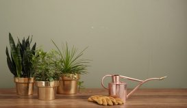 Copper pot, gloves and plants