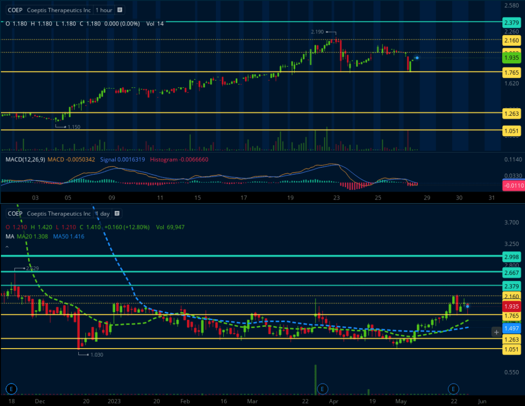 Coep Stock